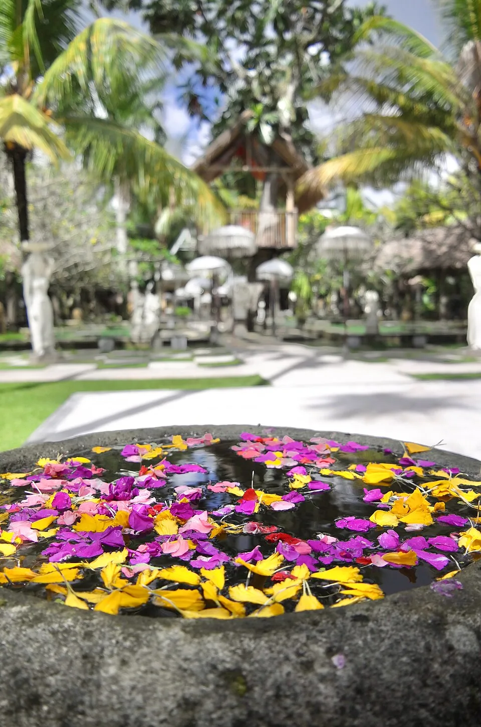 Flower petals in a stone vessel